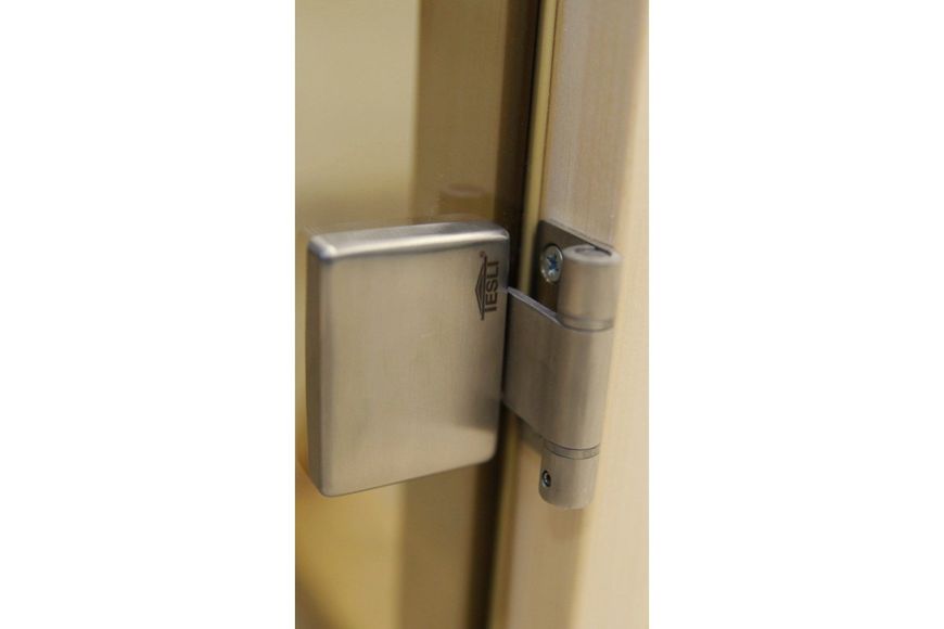 Двері для лазні та сауни Tesli Steel Sateen 1900 x 700 13542 фото