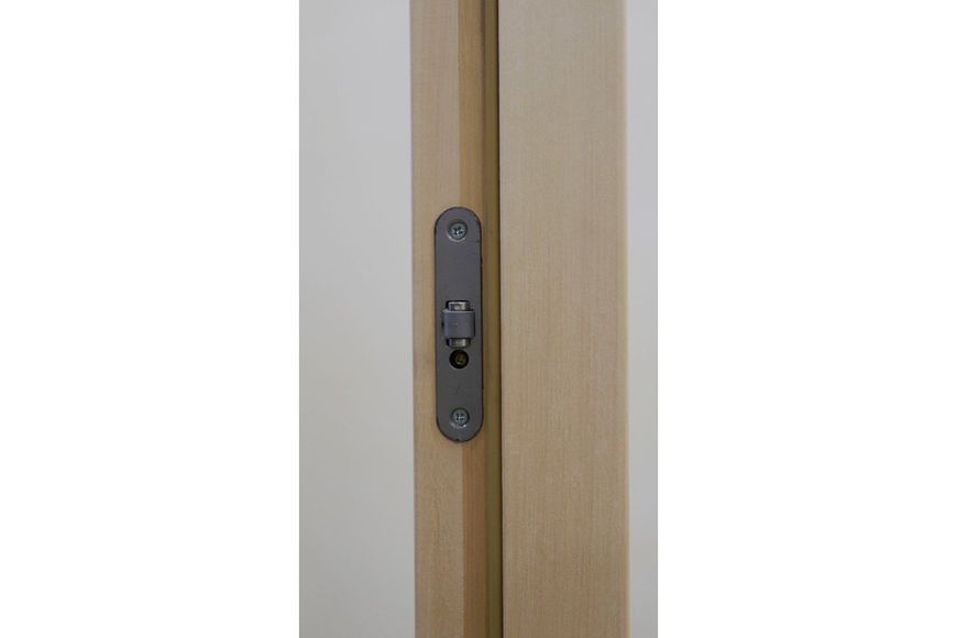 Дверь для бани и сауны Tesli Steel Sateen 2000 х 683 13592 фото
